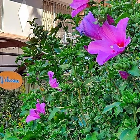 Letizia - Casa Per Ferie 3* Rome