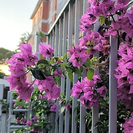 Letizia - Casa Per Ferie Maison d'hôtes Rome